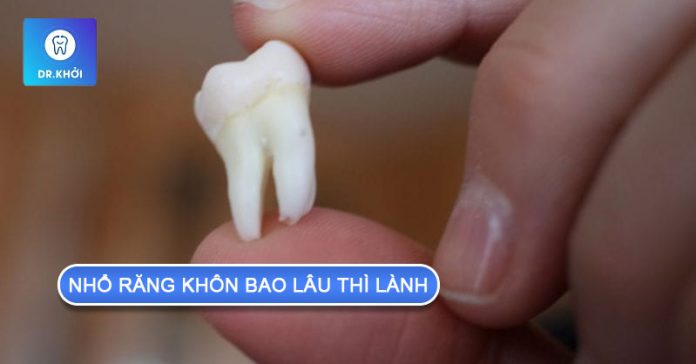 nhổ răng khôn bao lâu thì lành